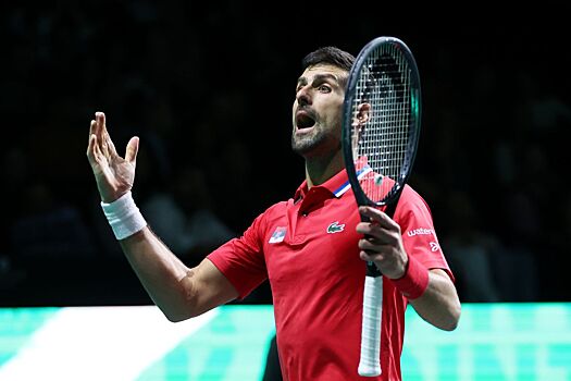 Ана Иванович высказалась о шансах Новака Джоковича на успех на US Open — 2025