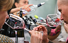 «Переток к пиву»: Названы последствия повышения акциз на вино в 3 раза