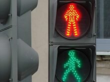 Орловские автоинспекторы объявили рейд «Светофор»