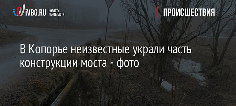 В Копорье неизвестные украли часть конструкции моста - фото