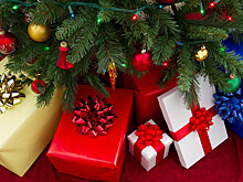 Superjob: 30% россиян хотят вернуть новогодние подарки