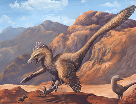 Доктор наук: Динозавры не вымерли, а переродились в птиц