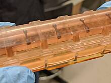 Раскрыт вред невесомости для сердца