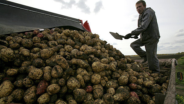 На Украине монету посвятили копанию картошки