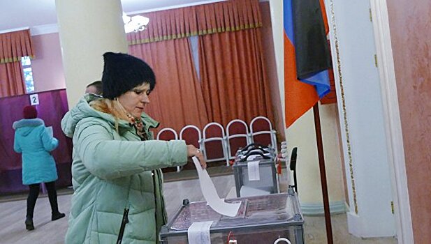 В Совфеде оценили организацию выборов в ДНР