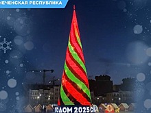 Чечня победила во всероссийском конкурсе новогодних елок