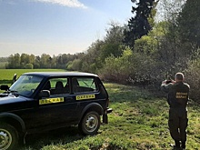На территориях лесов Подмосковья за 12 июля пожары не зафиксированы