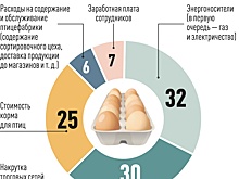 Проблемы с птицефермами наметились еще в начале 2022 года