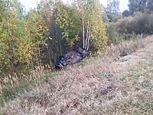 Два человека пострадали в улетевшей в кювет легковушке в Пильнинском районе