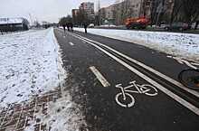 "9 км за год? Это не для гордости повод": петербуржцы возмущены темпами благоустройства велодорожек