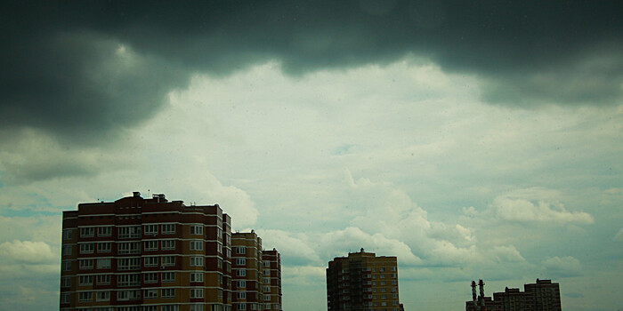 В Москве городские службы переведены в режим повышенной готовности из-за ветра