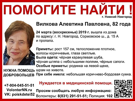 В Нижнем Новгороде пропала пенсионерка