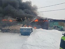 Обрушение кровли произошло во время пожара в производственном здании в Подмосковье