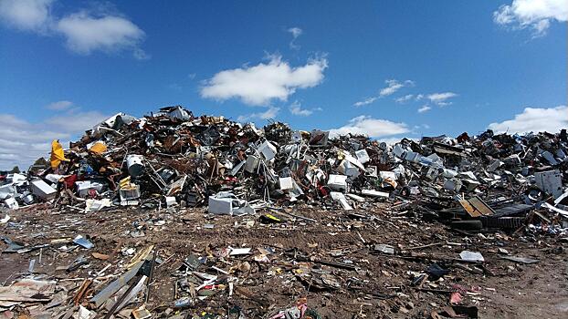 Ученый из Новосибирска Пащенко заявил о канцерогенах на горевшем мусорном полигоне «Левобережный»