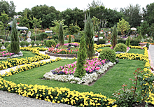 В Чеченской республике увеличится площадь садов