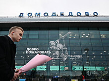 Совладелец Внуково заявил о готовности погасить долг Домодедово