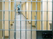 В Москве осудили подстрекавшего ко взрыву в метро