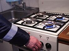 В Госдуме призвали проверить газовое оборудование в жилых домах