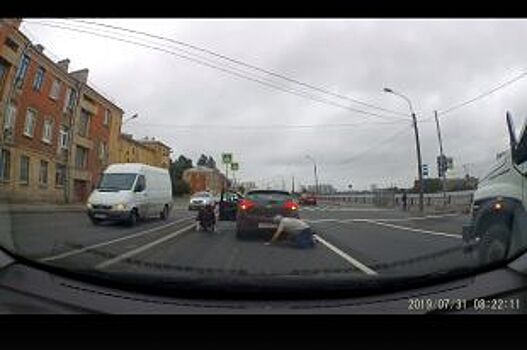 Водители Петербурга спасли котенка, который выбежал на дорогу