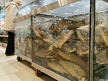 В Госдуму повторно внесли законопроект о защите производителей рыбопромышленных судов