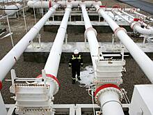 Бесплатный газ снизит инфляцию в Турции до отрицательных значений