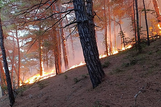 Площадь пожара в лесничестве Геленджика увеличилась до 14 гектаров