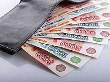 Власти Новосибирской области: зарплата в регионе в 2017 году растет втрое быстрее инфляции