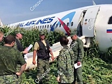 Необычные звуки и шок: стюардесса А321 — о произошедшем на борту