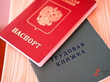 Роструд начал работу в новых регионах с профилактики
