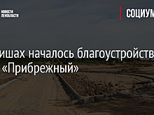 В Киришах началось благоустройство парка «Прибрежный»