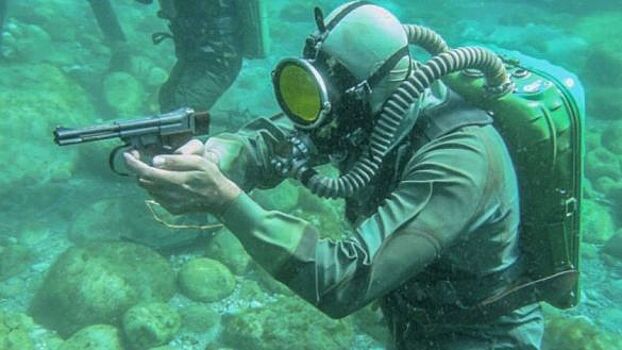 Ситников: Подводные бои на Днепре в районе Новой Каховки начнутся в середине апреля 2023