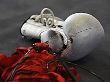Российских боксёров не оказалось в спрогнозированном рейтинге P4P к 2029 году от The Ring