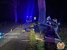 Въехал в дерево: под Багратионовском в ДТП скончался водитель