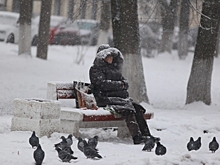 Жители Омской области три недели безнадежно ждут автобус