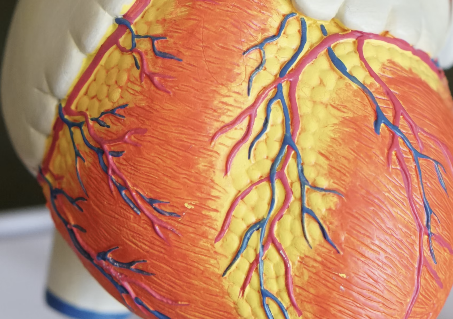 проверить капилляры