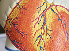 Когда необходимо проверить сосуды