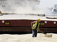 Зерно в России подорожает