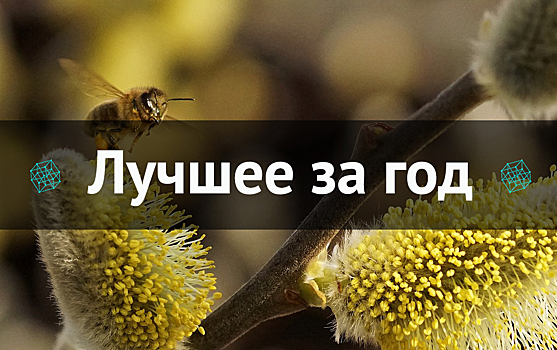 Лучшее за год. Март