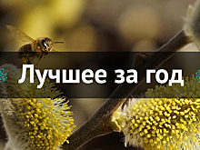 Лучшее за год. Март