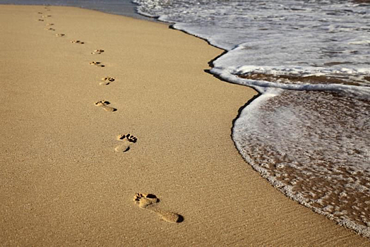 Горожане осмеяли сеанс «рукоблудия» на новосибирском пляже