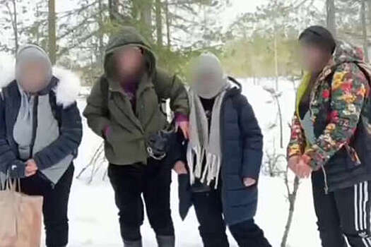 Пограничники остановили четырех сирийцев, которые хотели попасть в Финляндию