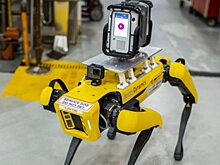 Новыми тест-пилотами Ford стали роботы по имени Шелби и Майлз