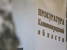 Прокуратура проверит информацию о сливе токсинов в Мазурский канал и реку Путиловку