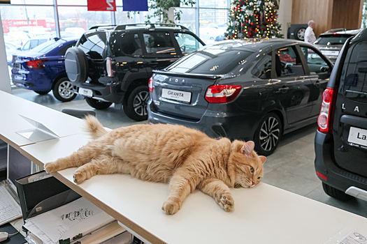 «Можно, а зачем?»: АвтоВАЗу посоветовали выпустить мемный мерч