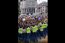 Массовые протесты против вакцинации в Новой Зеландии попали на видео