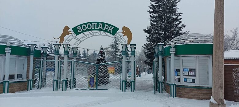 Бурые медведи зоопарка в Абакане справят новоселье