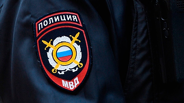 Полиция Москвы проверит инцидент с участковым, который ударил женщину удостоверением