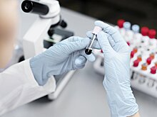 Врачи рассказали, какие анализы нужно ежегодно сдавать после 50 лет