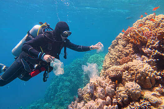 Анализ показал, что 84% коралловых рифов страдают от кислородного голода