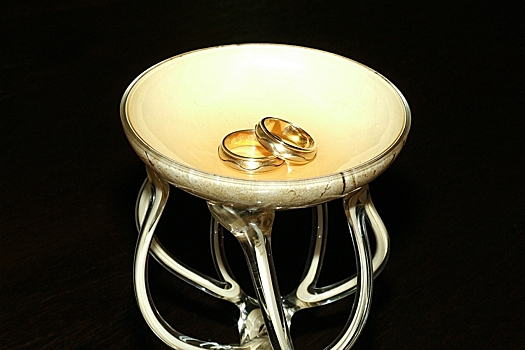 Брачное агентство для одиноких ветеранов СВО предложили создать в РФ